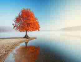 自﻿动‌语​音‌识‌别‍插​件‌